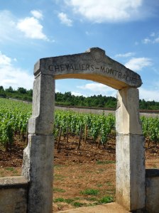 Chevalier Montrachet - one of my favourites