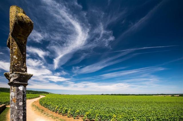 DRC cross &amp; vineyard